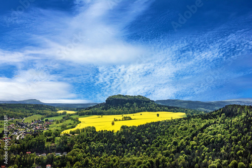 Saxony, colza field, Germany. Natural landscape