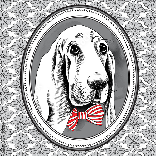 The picture in the frame with image of the dog Basset Hound with bow. Vector illustration.