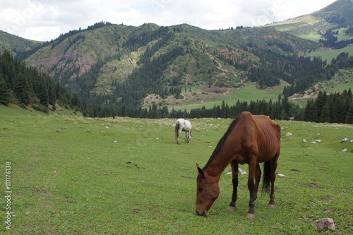 Kyrgyzstan gorge Jety-Oguz © Пальцына Ирина