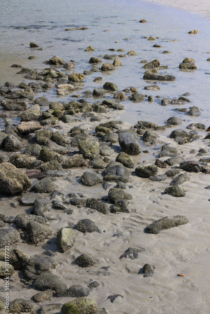 stone and sand in day view stone and sand in day view