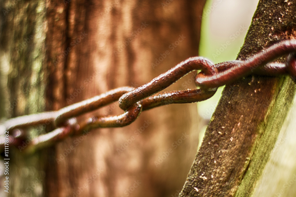 Obraz premium Rusty Chains Security