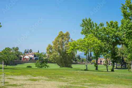 Golf course trees with blue sky 