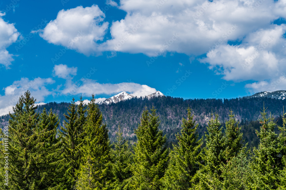 Wälder am Karwendel-Gebirge unter weiß-blauem Himmel