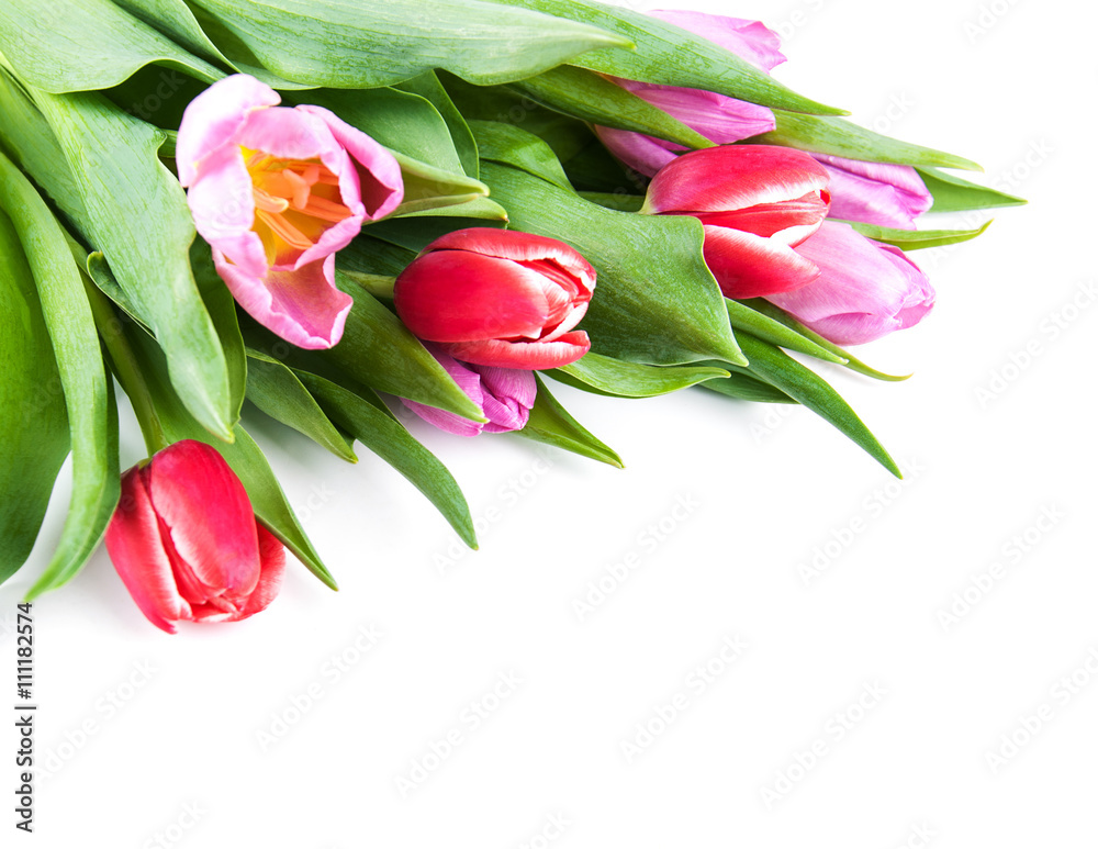 bouquet of tulips bouquet of tulips