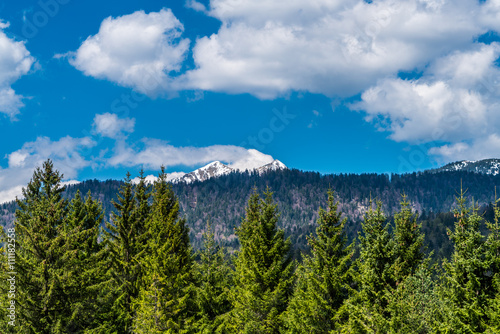Wälder am Karwendel-Gebirge unter weiß-blauem Himmel