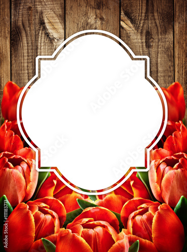Red tulip flowers and a car...