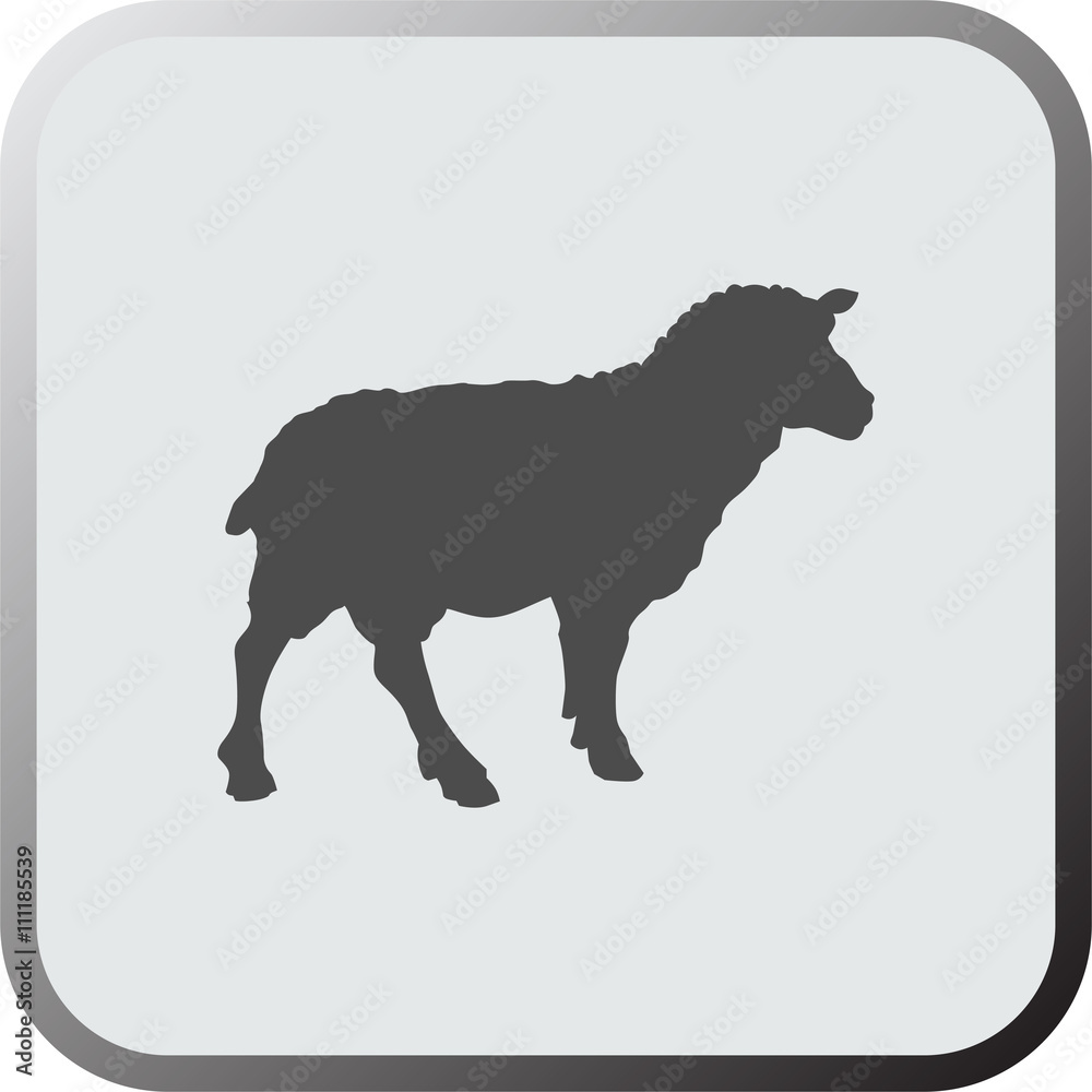 Graphical flat icon, button of sheep. Vector. Graphical flat icon, button of sheep. Vector.