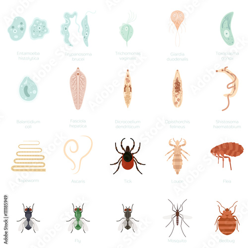 Set of parasites