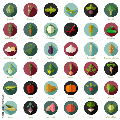 Set of flat round vegetable icons