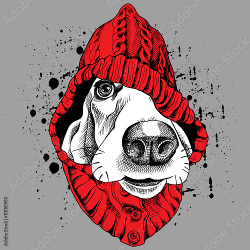 The poster with the image of the dog Basset Hound in the hood. Vector illustration.