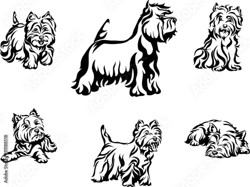 dog, purebred, breed, thoroughbred, vector, graphics, vector, image, line, Terrier