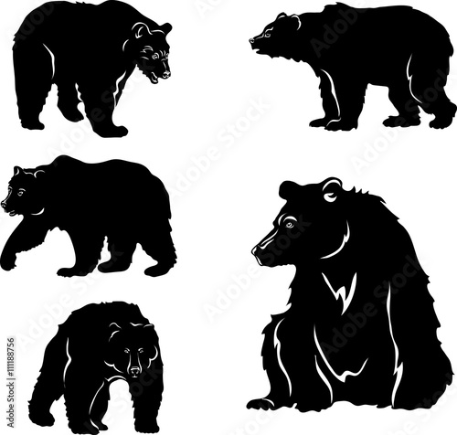 bear  image  various poses  drawing 
