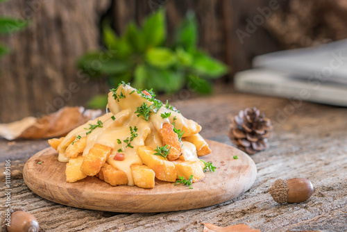 french fries with cheese on wooden