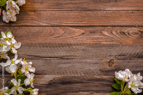 Blossoming apple tree on a wooden background, Black  template