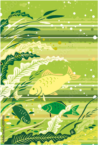 Fish illustration for design.