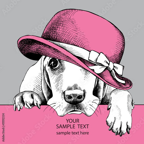 The poster dog Basset Hound portrait in the womans hat. Vector illustration.