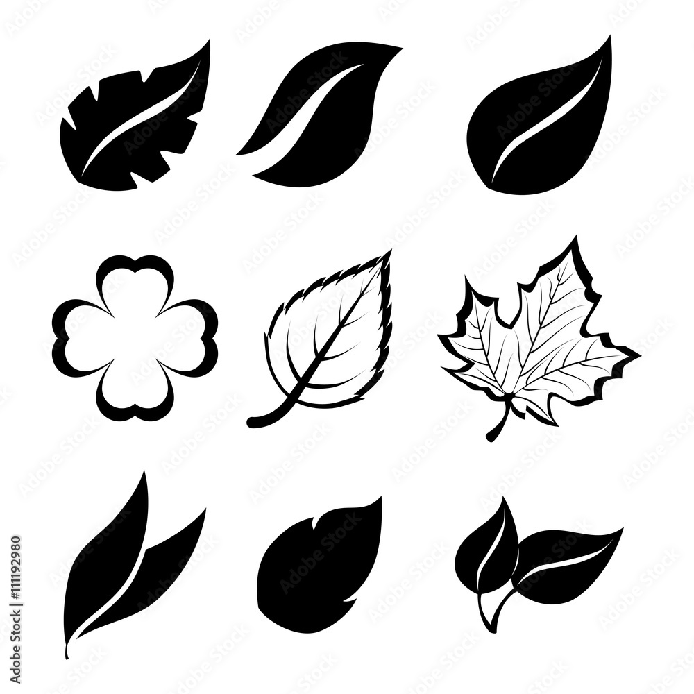 green leafs isolated design green leafs isolated design