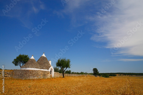 Slika na platnu Beautiful Apulia countryside with typical trulli farm house, Italy