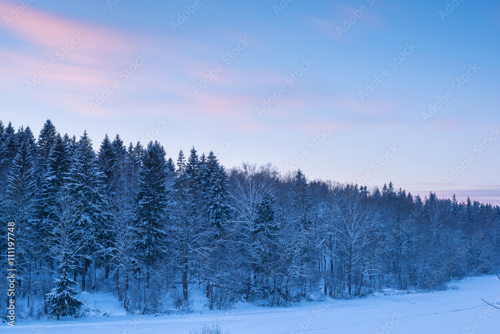 Forest landscape and blur clouds in sunset sky at snow winter se Forest landscape and blur clouds in sunset sky at snow winter se