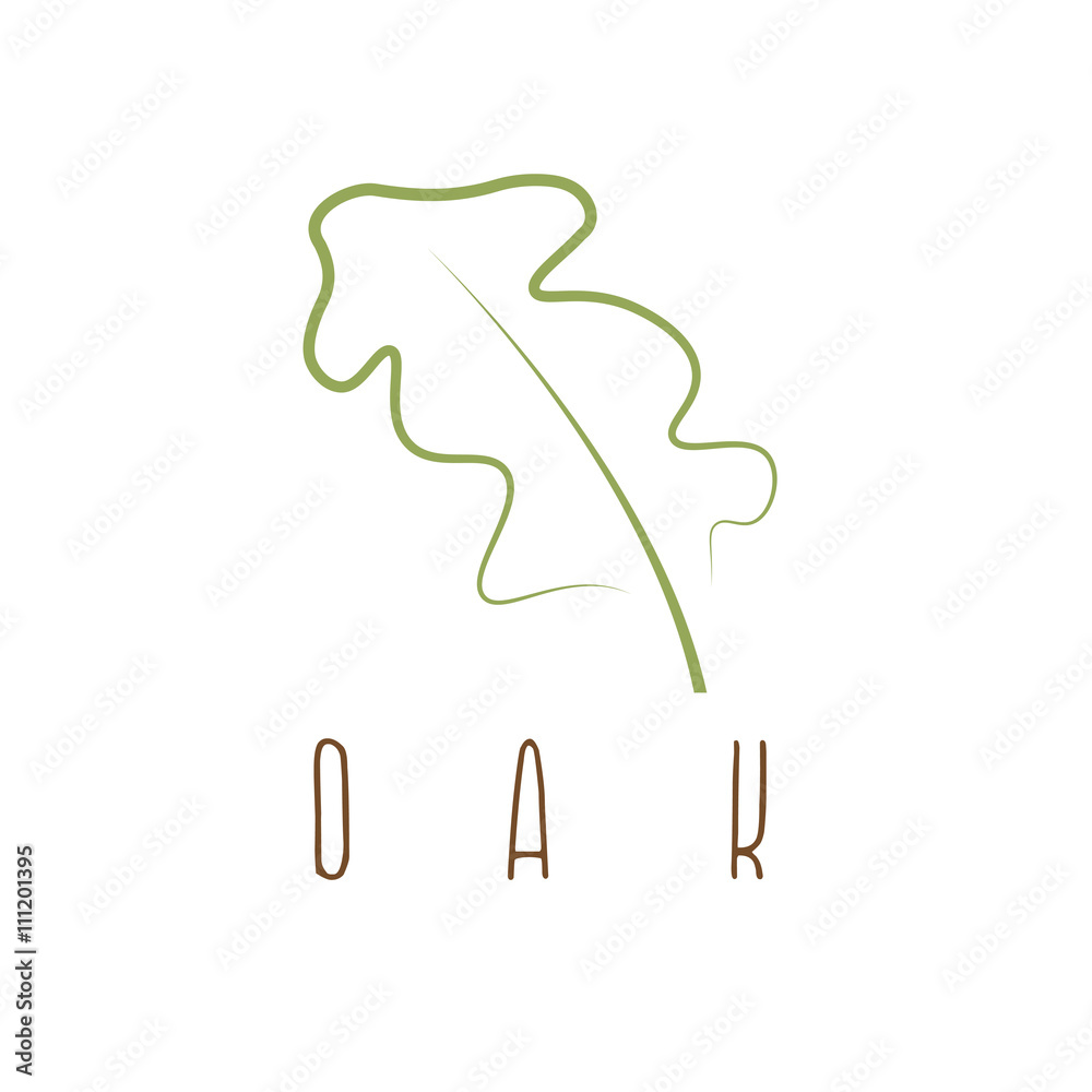 oak leaf abstract outline vector design template