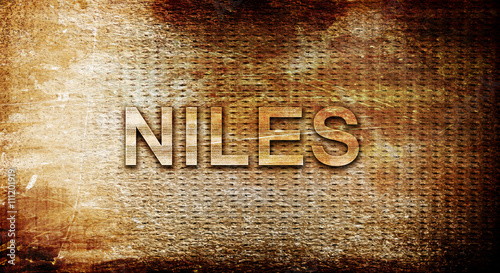 niles, 3D rendering, text on a metal background