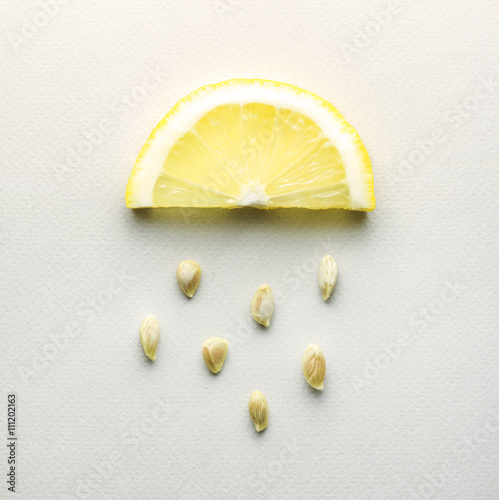 Sour rain / Creative concept photo of a lemon slice with seeds falling down on grey background.