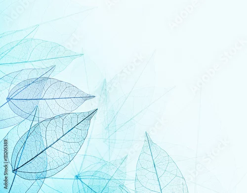 Obraz Piękny abstrakcjonistyczny tło z zredukowanymi liśćmi