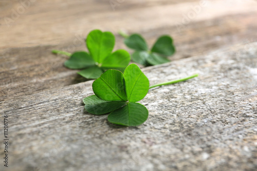 Green clover leaves on wooden background, closeup