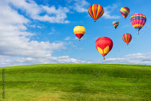 Colourful hot air balloons flying over green field and blue sky © artpritsadee