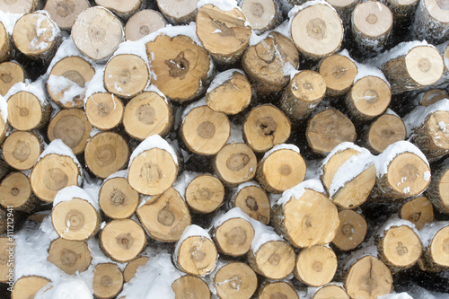 Wood logs covered in snow