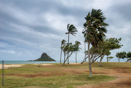 Chinaman's Hat Hawaii photo