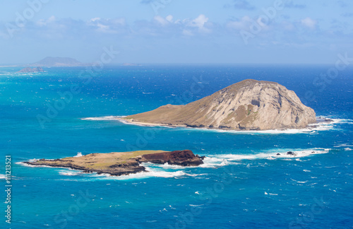 Φωτογραφία Rabbit island Close up