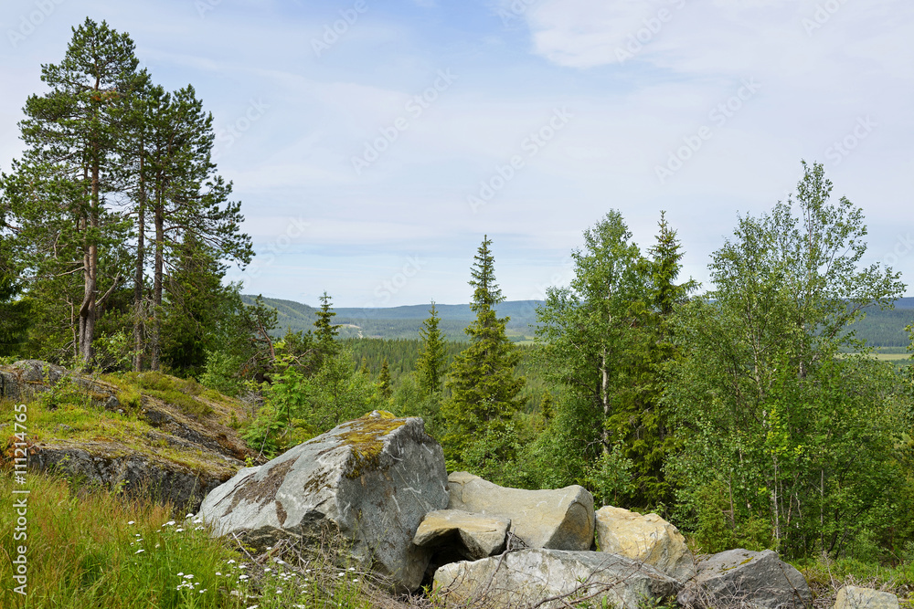 Northern Landscape. National Park Oulanka, Northern Finland