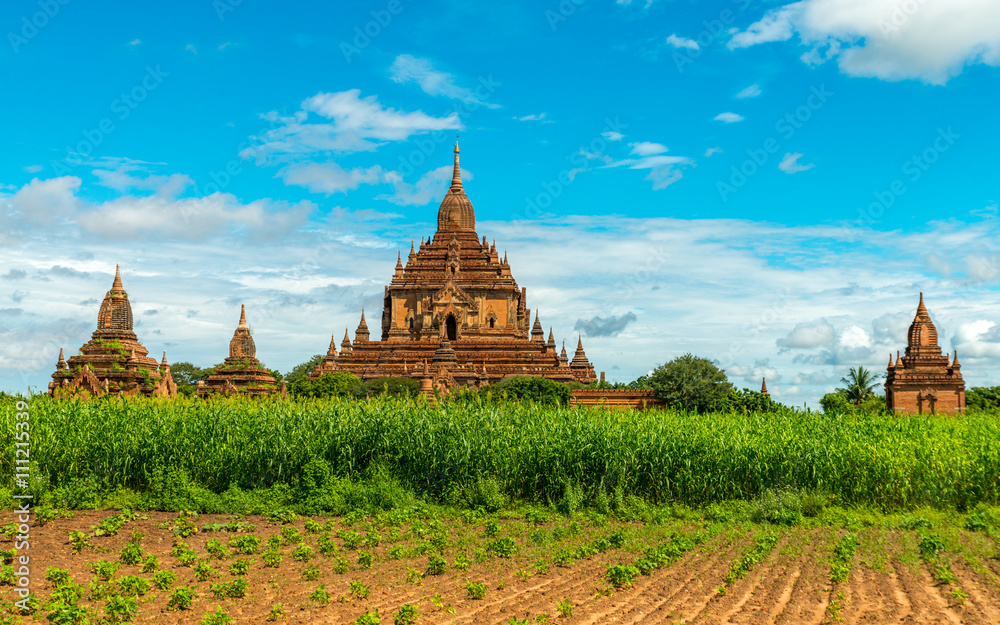 Fototapeta premium Bagan temples, Myanmar