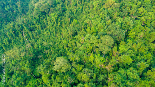 aerial top view of forest mouatain in asian Thailand © justyle