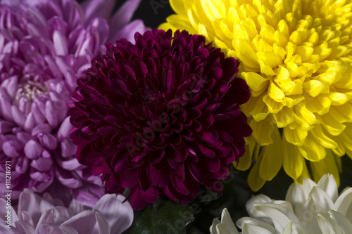 Bouquet of carnations