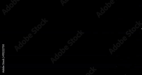 Fade to black crows / Flying animated low-poly crows fill screen with black from left to right, can be used for cuts and transitions