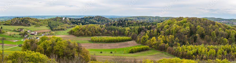 Obraz premium Wyżyna Krakowsko-Częstochowska