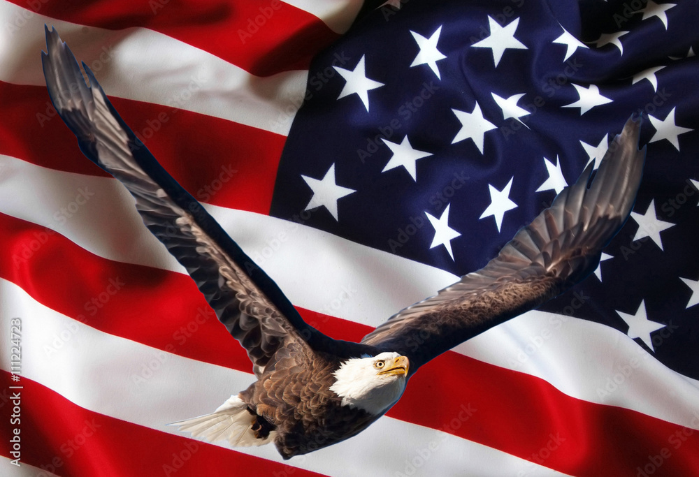 Bandiera Americana con aquila in volo Stock Photo