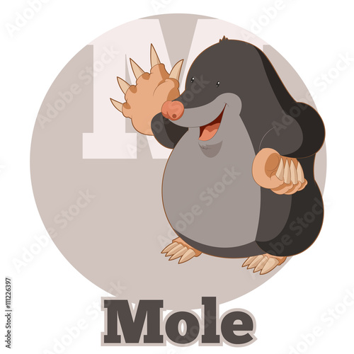 ABC Cartoon Mole