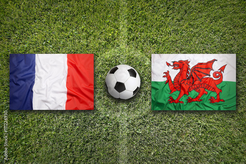 France vs. Wales flags on soccer field