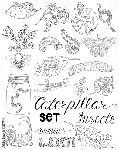 Hand drawn set with caterpillars, worms and pests