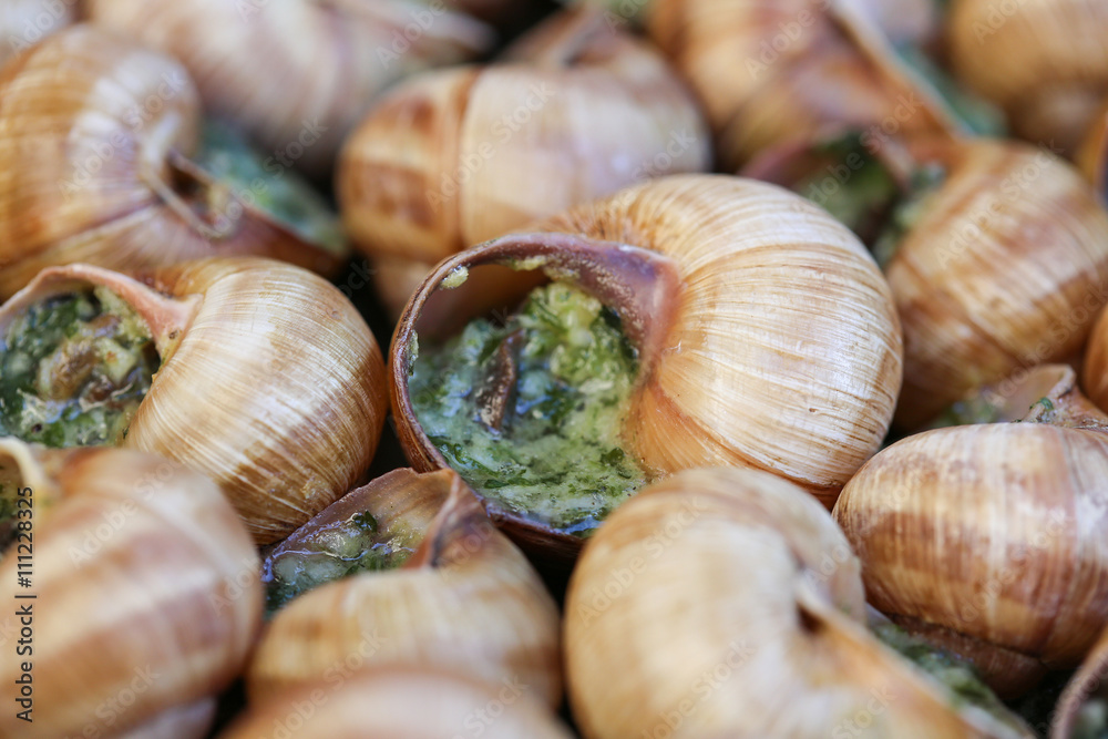 Escargot Escargot