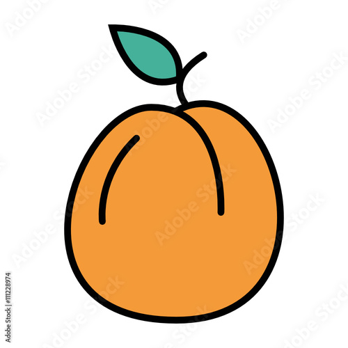 Apricot