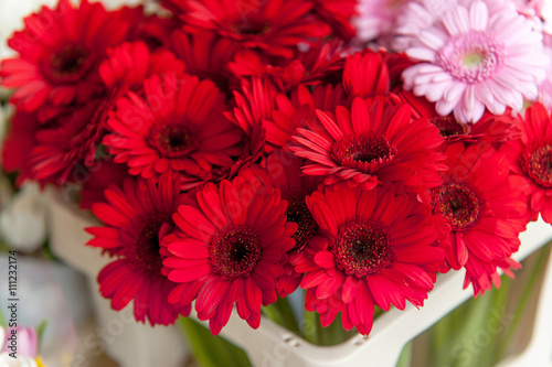 Red Gerbera flowers at Amsterdam flower market