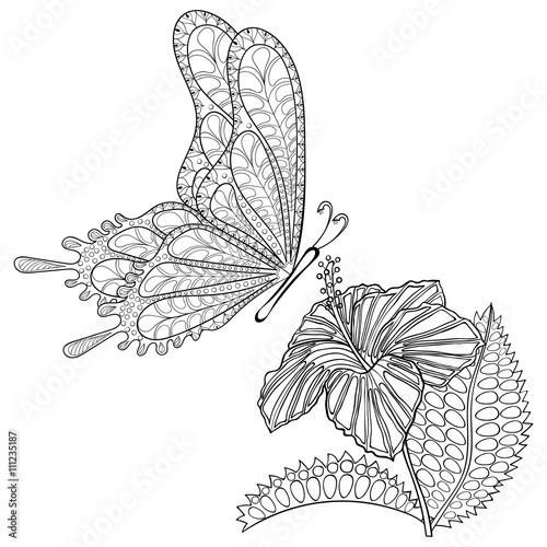 Hand drawn zentangle tribal flying Butterfly and Hibiskus flower
