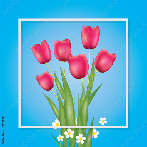 tulips background frame