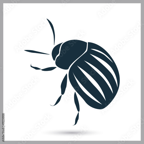 Colorado potato beetle icon on the background