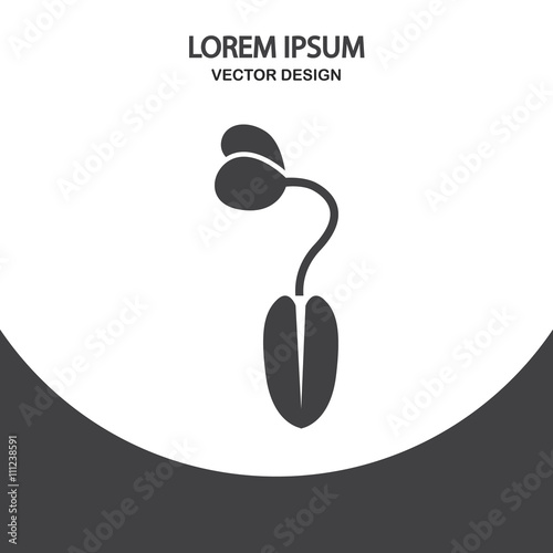 Corn seed with germ icon on the background