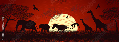 Africa safari animals vector